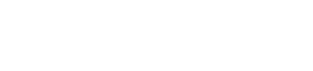 Logo White